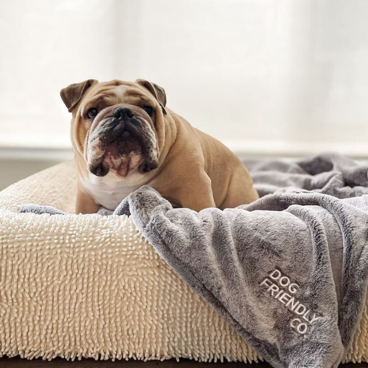 Orthopedic Memory Foam Dog Bed - Pink (Medium)