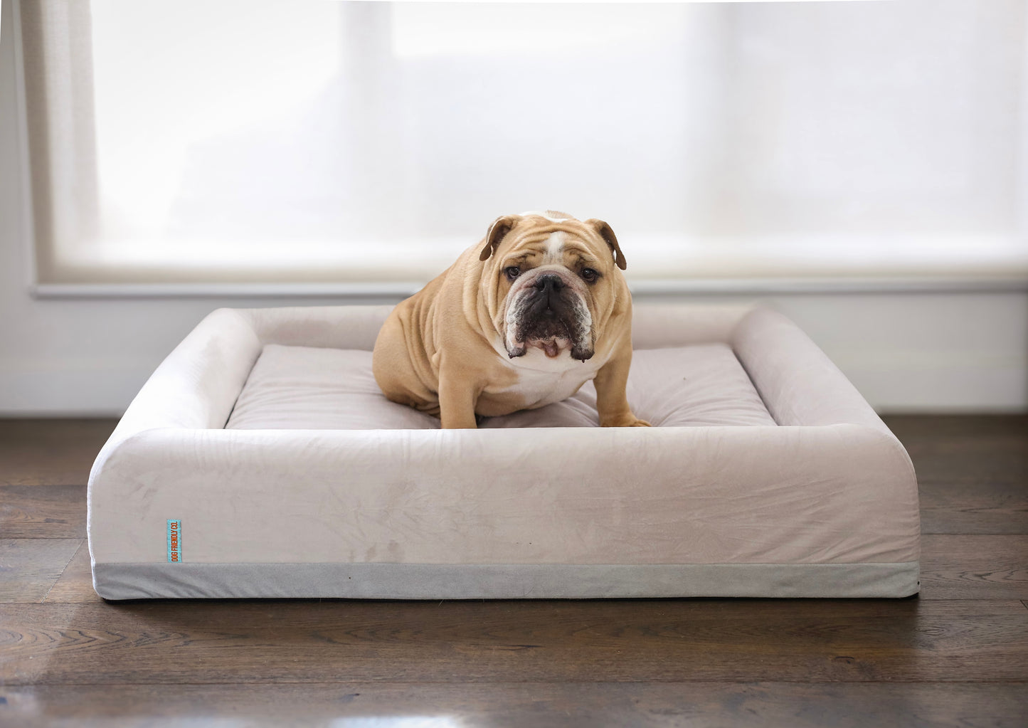 Orthopedic Memory Foam Dog Bed - Beige (Small)