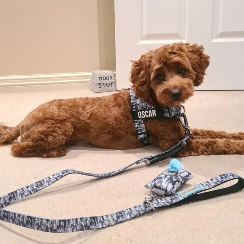 Julius k9 harness cockapoo hotsell