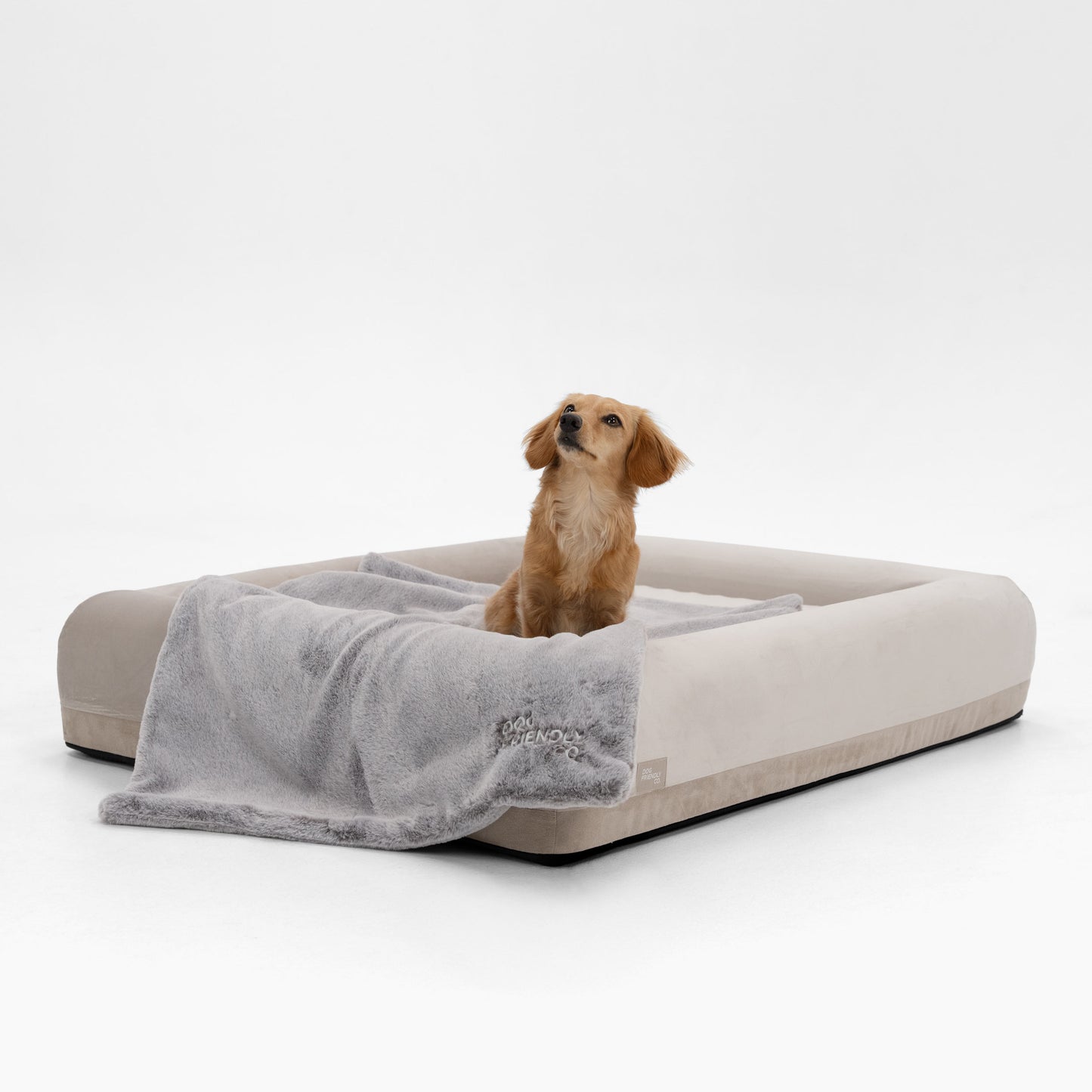 Orthopedic Memory Foam Dog Bed - Beige (Small)