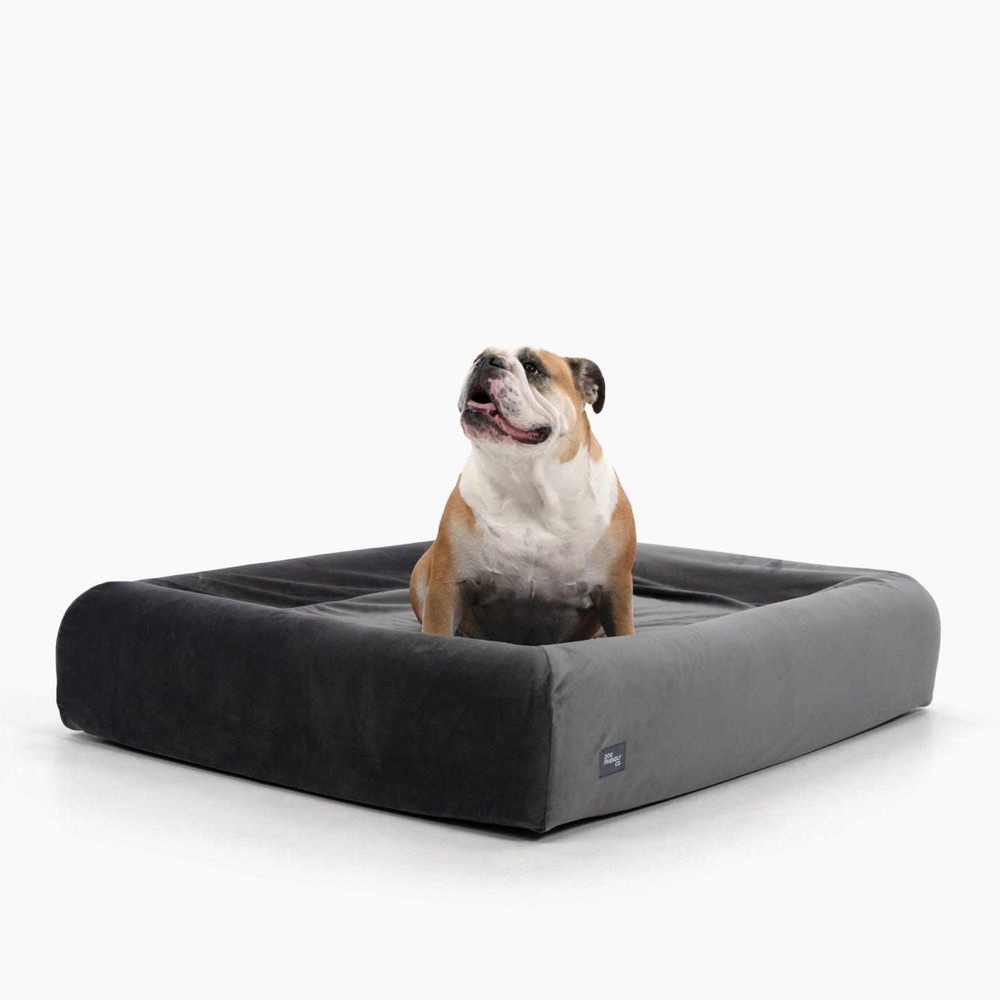 Orthopedic Memory Foam Dog Bed - Charcoal (Large)