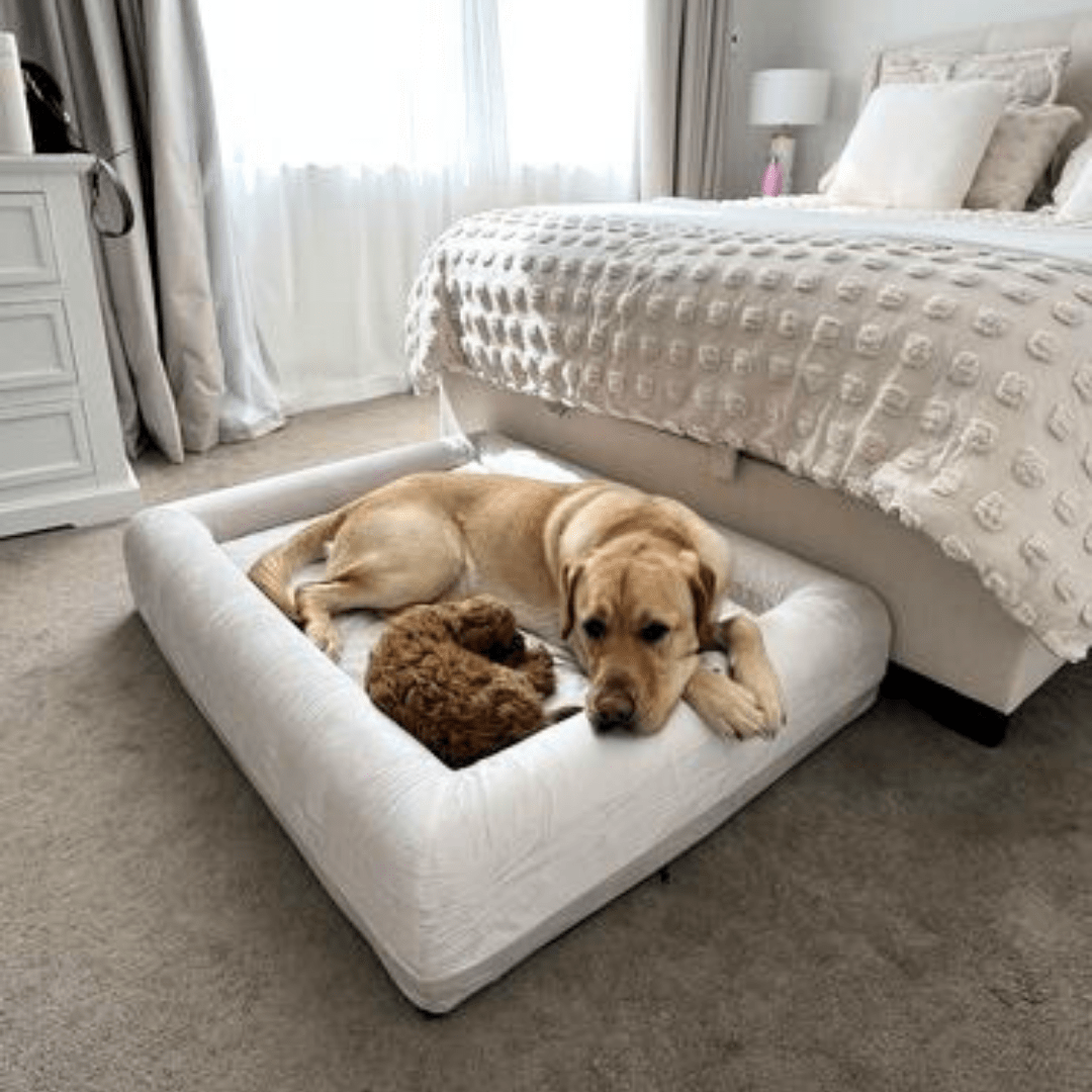 Orthopedic Memory Foam Dog Bed - Beige (Small)