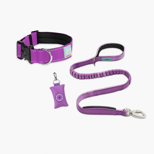 Purple Collars Dog Friendly Co