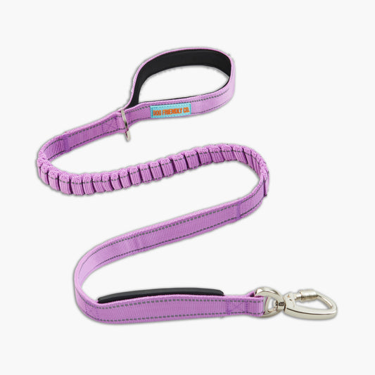 Bungee Dog Leash