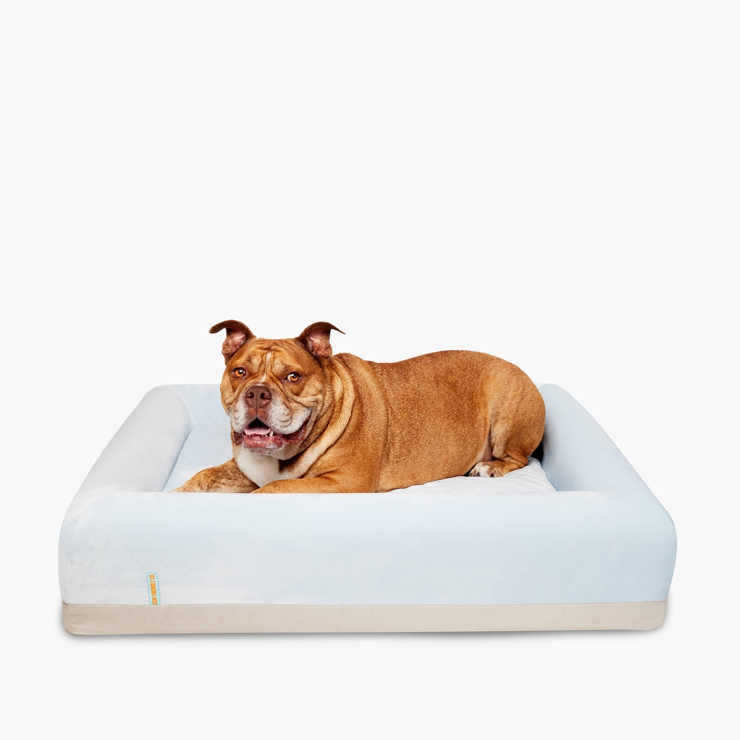 Orthopedic Memory Foam Dog Bed - Sky Blue (Large)