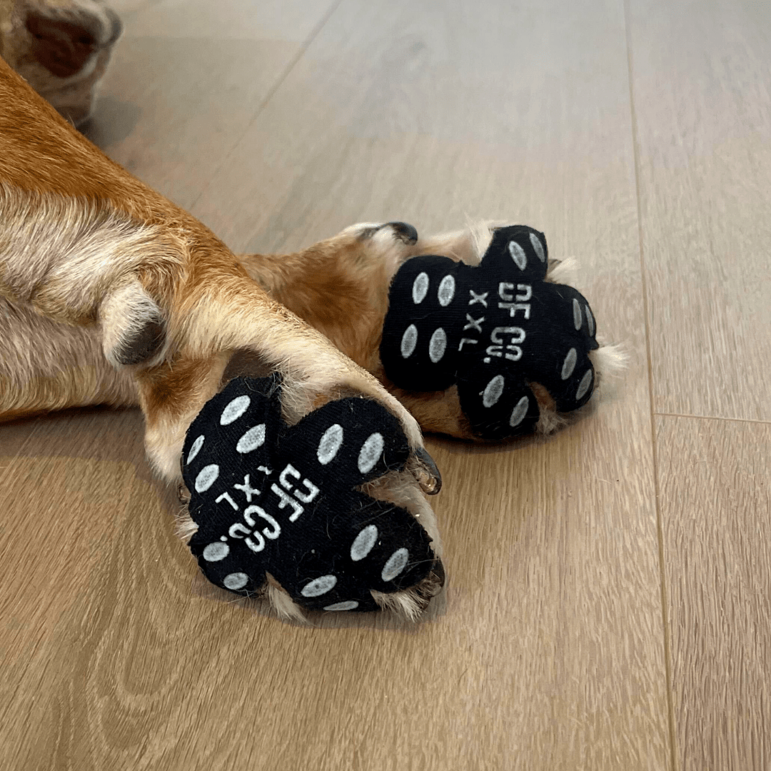 Dog Paw Pad Protectors