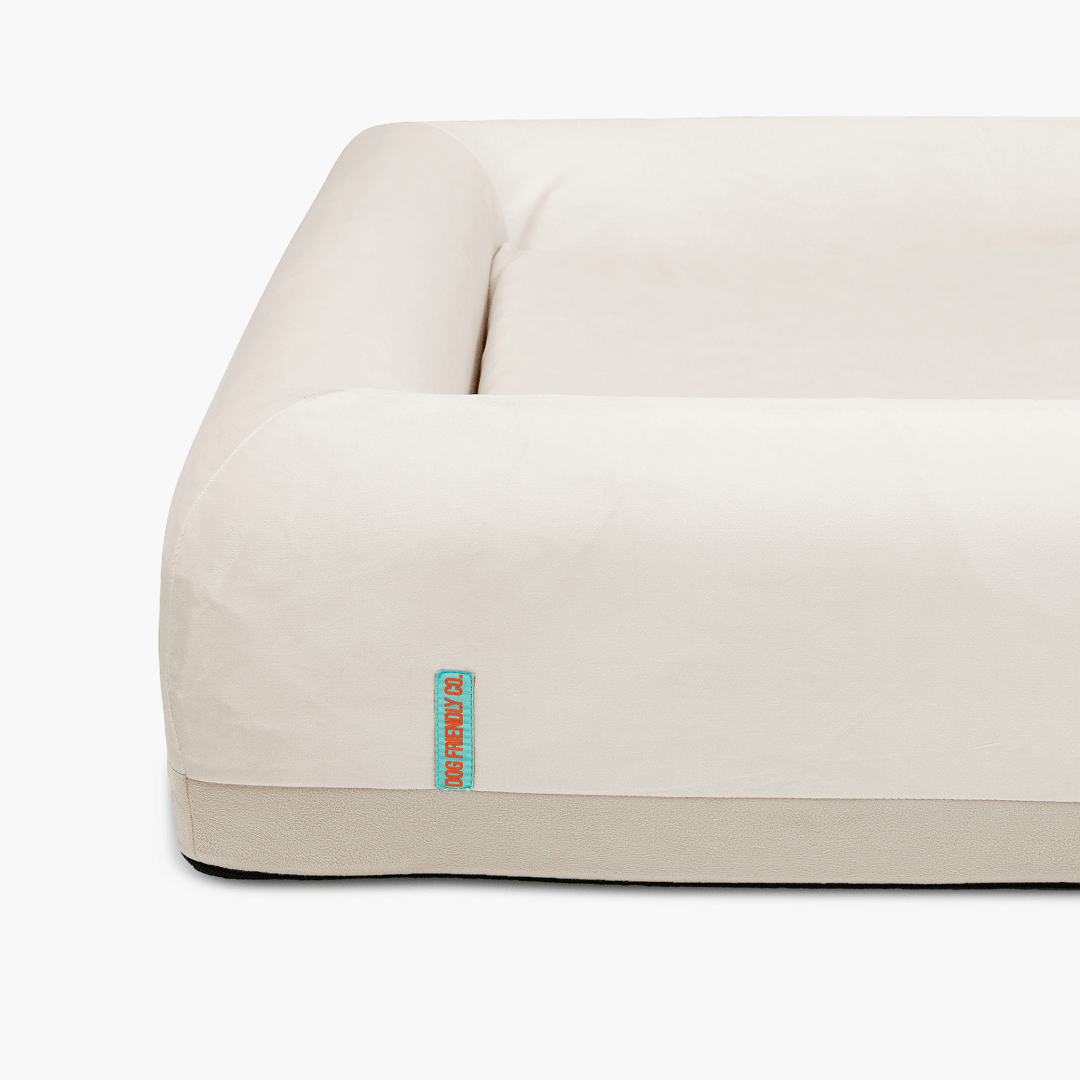 Orthopedic Memory Foam Dog Bed - Beige (Medium)