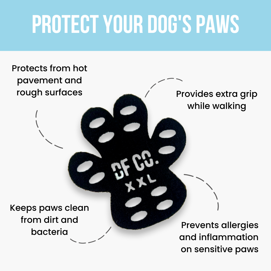 Dog Paw Pad Protectors Dog Friendly Co.